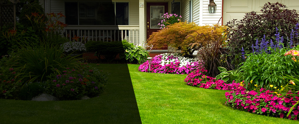 Arlington Landscapers
